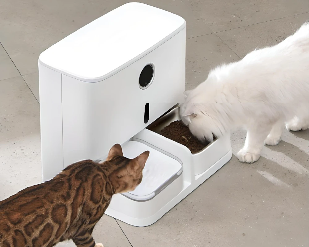 pet food and water dispenser
